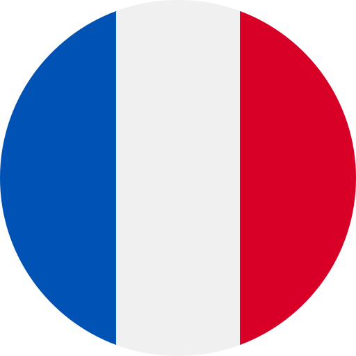 fr flag icon